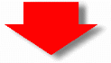 next.gif (2499 bytes)